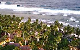Three Little Birds Surf Hostel